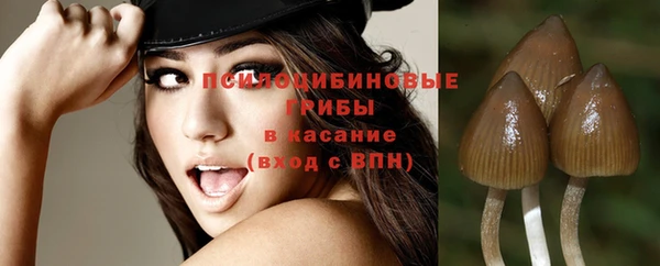 дурь Верхний Тагил