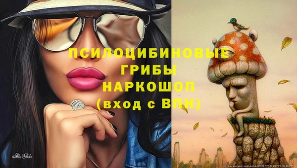 соль ск Верея