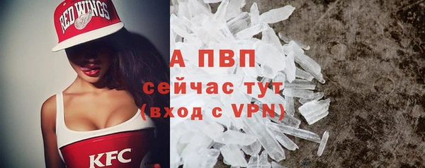 сатива Волоколамск