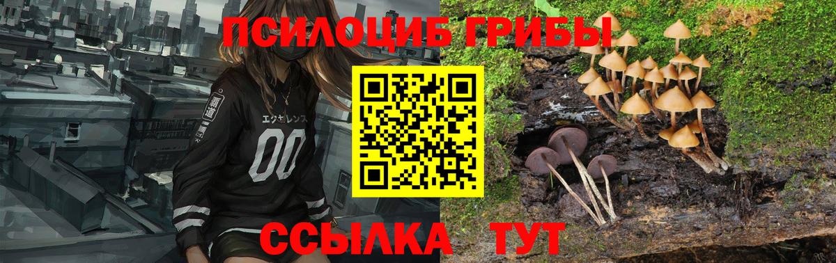 Назарово  Галлюциногенные грибы мухоморы  Вход с VPN 