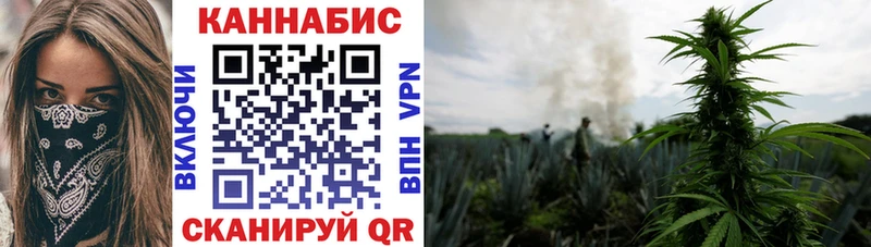 Конопля план  Назарово 